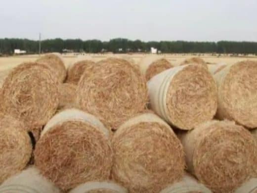 straw bale shredding